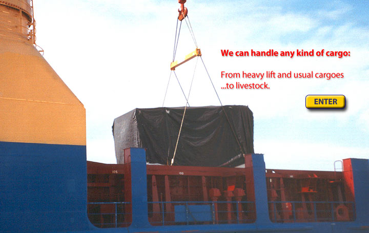 We can handle any kind of cargo: from heavy lift and usual cargoes to livestock.